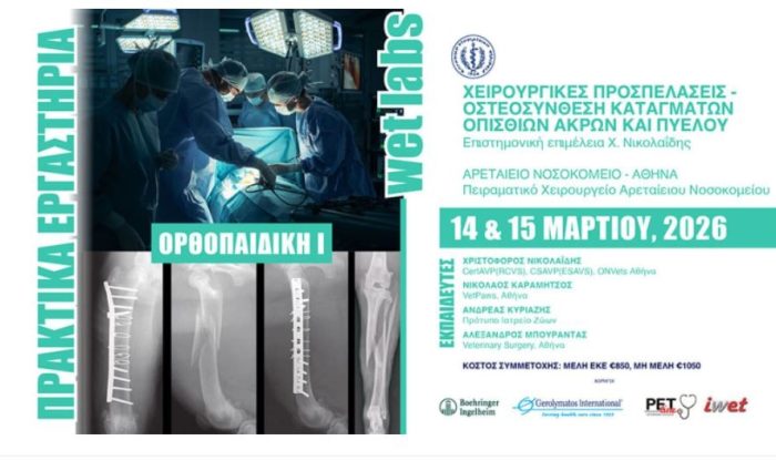 xeirourgikes-prospelaseis-26-03-14