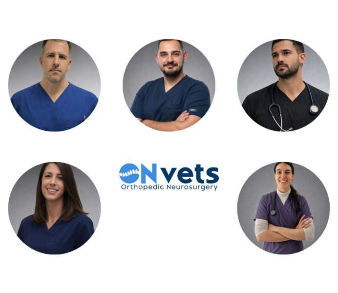onvet-team